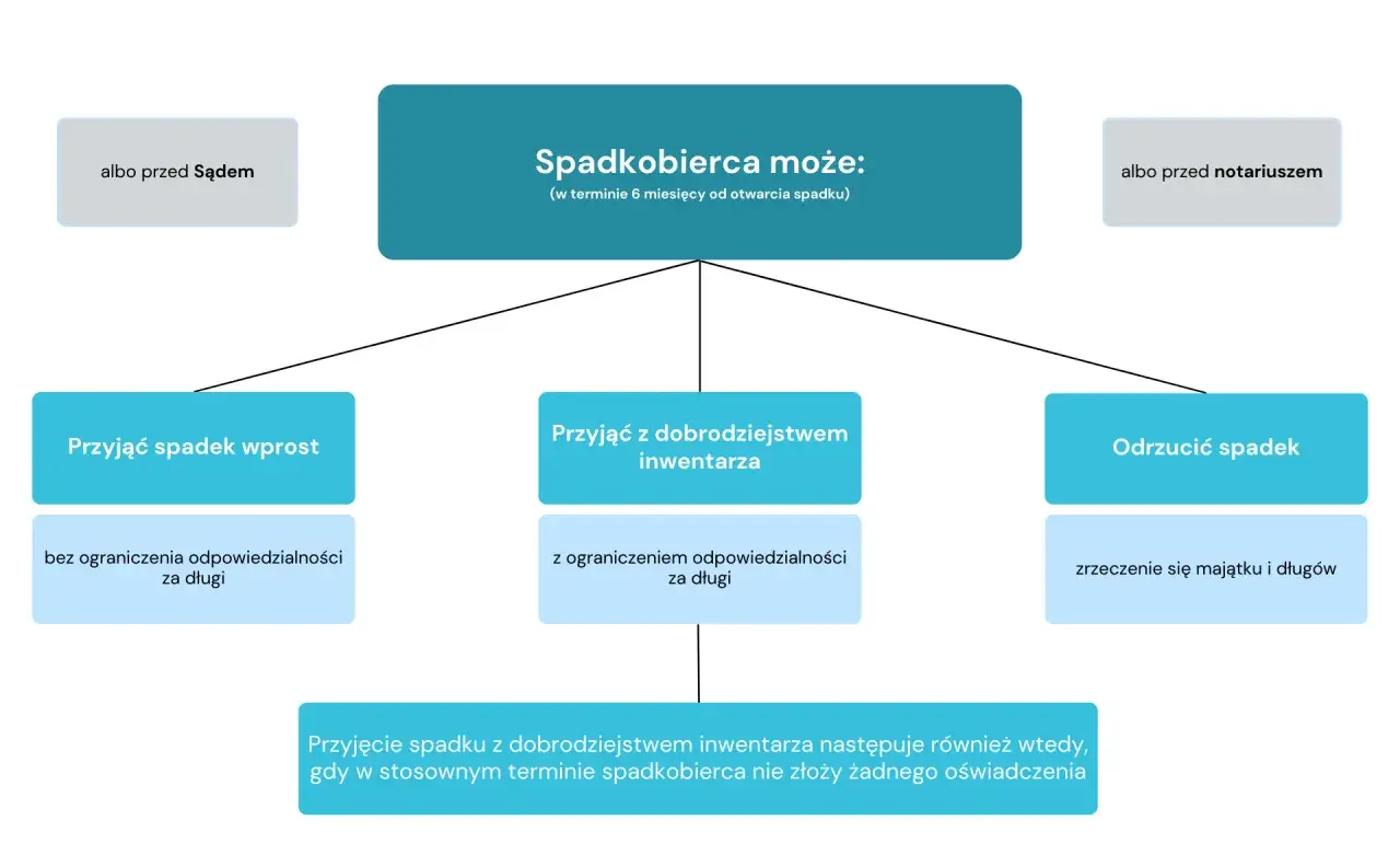 Schemat pokazuje, jak dzieli się spadek: spadkobierca może przyjąć spadek wprost, z dobrodziejstwem inwentarza lub odrzucić go.